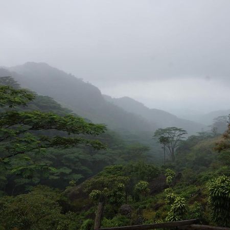 Jungle Tree House Rangala Bed & Breakfast แคนดี้ ภายนอก รูปภาพ