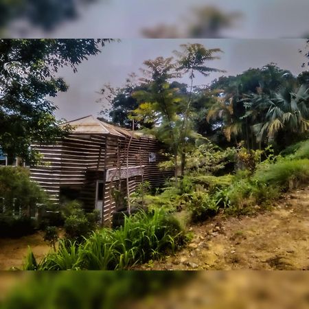 Jungle Tree House Rangala Bed & Breakfast แคนดี้ ภายนอก รูปภาพ