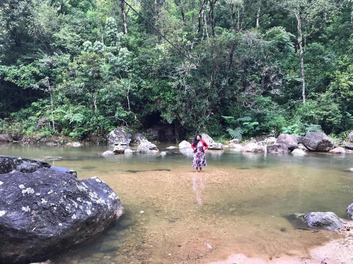 Jungle Tree House Rangala Bed & Breakfast แคนดี้ ภายนอก รูปภาพ