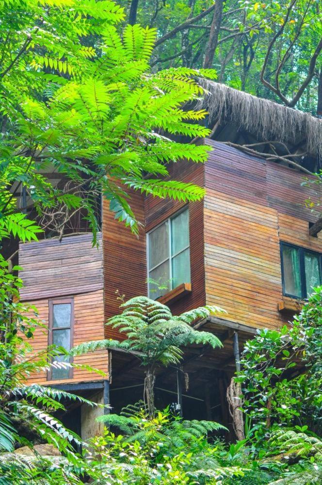 Jungle Tree House Rangala Bed & Breakfast แคนดี้ ภายนอก รูปภาพ